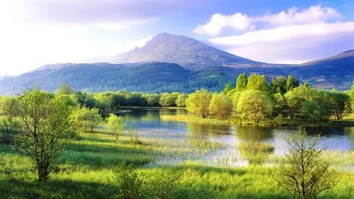 工业科技